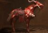 Cómo conseguir una montura o caballo en Diablo 4 Montura Diablo 4